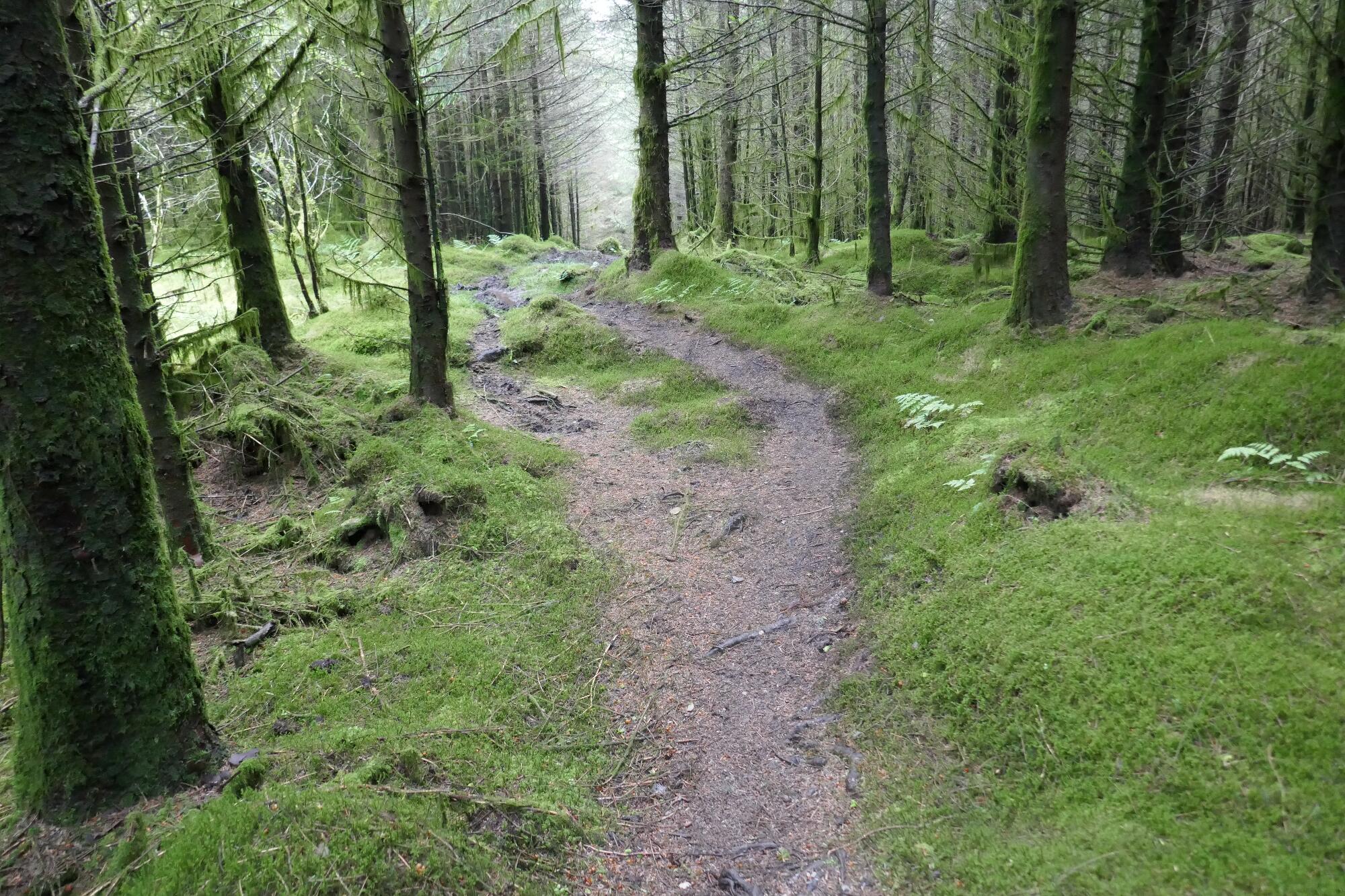 RachelSeabrook.net | Wild Walking | Devils-Bridge; pic52